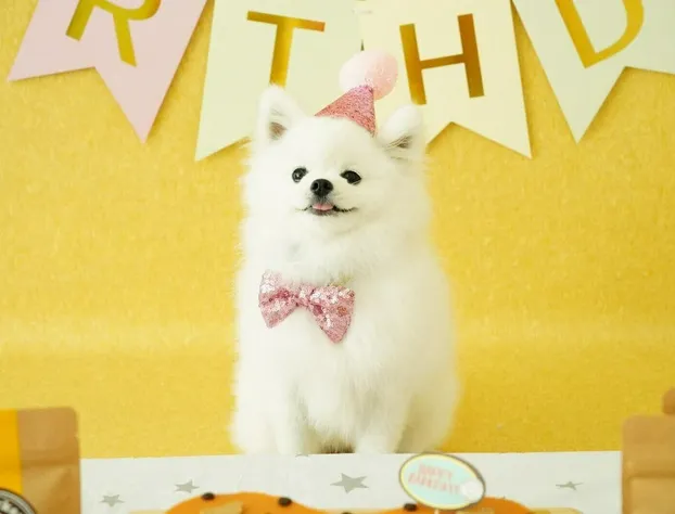 Holiday Inn Express Manhattan Times Square South by IHG hotel detail image 4