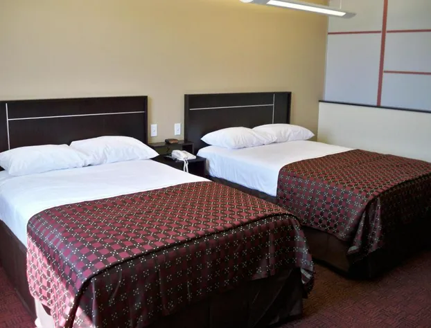 Red Roof Inn & Suites Beaumont hotel detail image 3