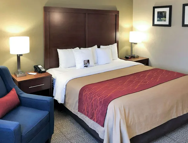 Comfort Inn hotel detail image 4