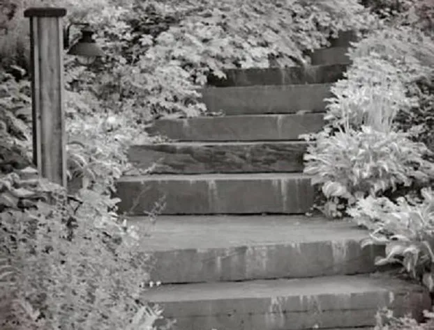 The Fern Lodge hotel detail image 4