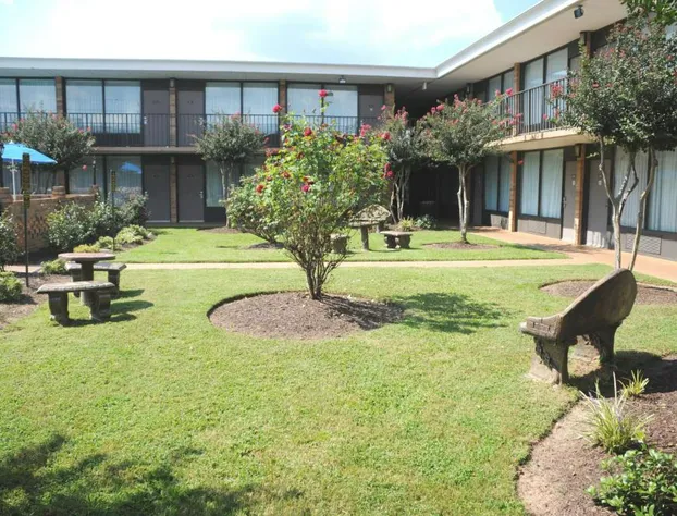 Best Western Greenville Airport Inn hotel detail image 4