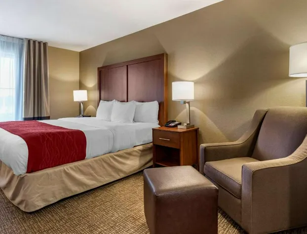 Comfort Inn & Suites Russellville I-40 hotel detail image 4