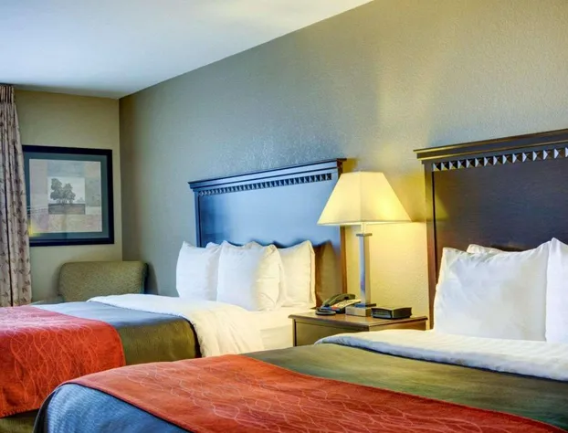 Comfort Inn & Suites Russellville I-40 hotel detail image 4