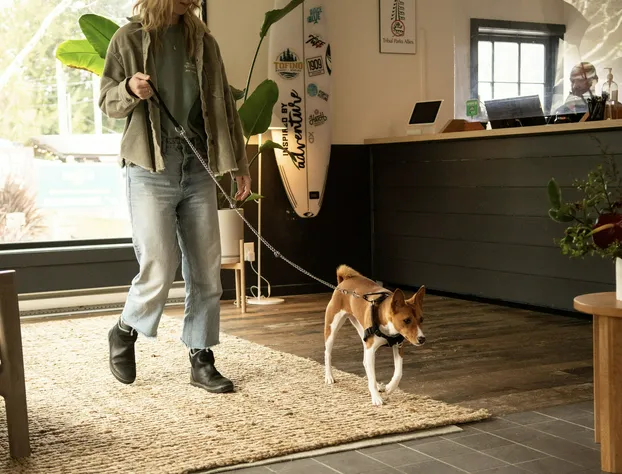 Tofino Resort & Marina hotel detail image 4