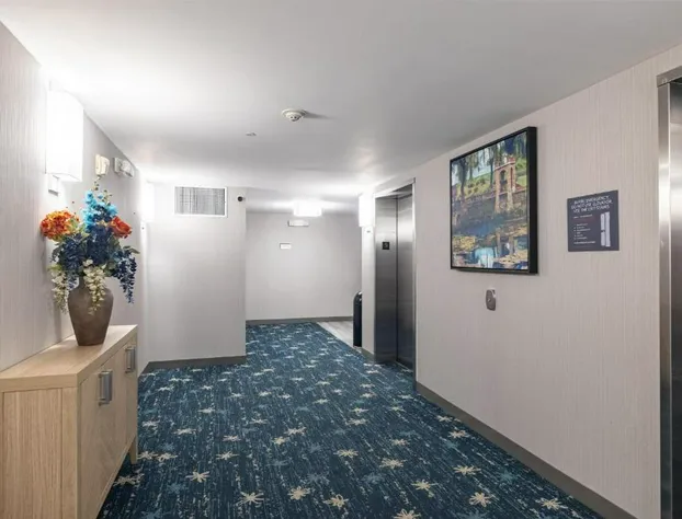 Hilton Garden Inn Albany hotel detail image 2