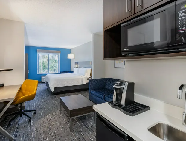 Holiday Inn Express Hotel & Suites New Tampa I-75 by IHG hotel detail image 4