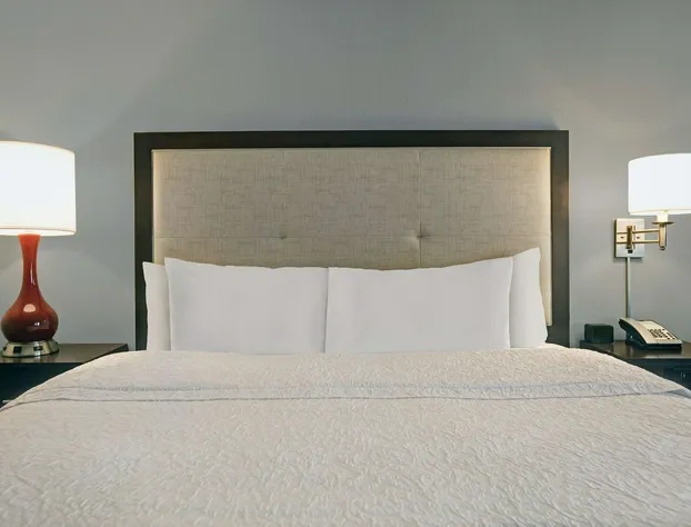 Hampton Inn Greenville I-385 - Woodruff Rd. hotel detail image 4