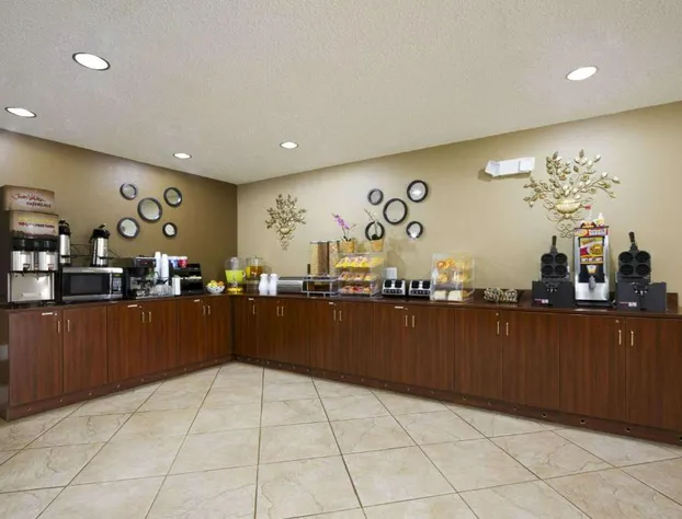 Microtel Inn & Suites by Wyndham Lithonia/Stone Mountain hotel detail image 4