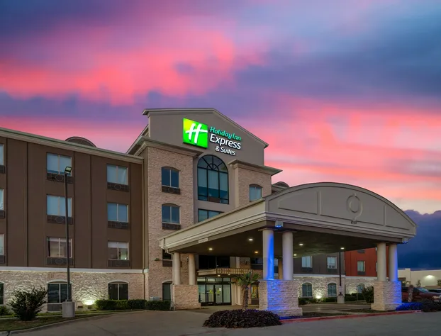 Holiday Inn Express & Suites Dallas East - Fair Park by IHG hotel detail image 2