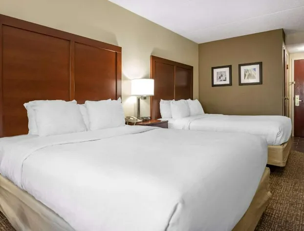 Comfort Inn Meadowlands hotel detail image 4