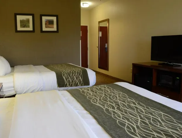 Comfort Inn & Suites Cave City hotel detail image 1