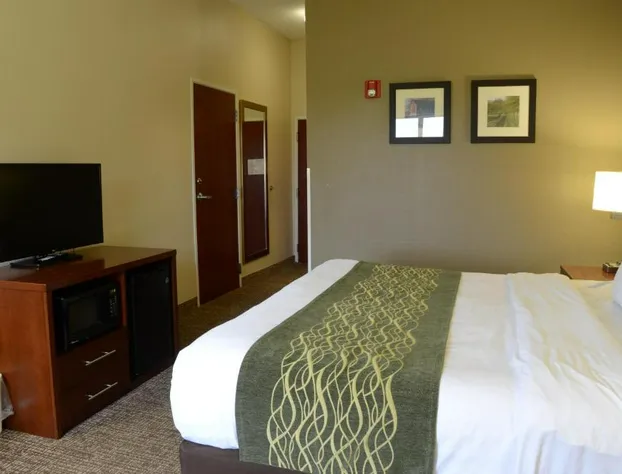 Comfort Inn & Suites Cave City hotel detail image 2