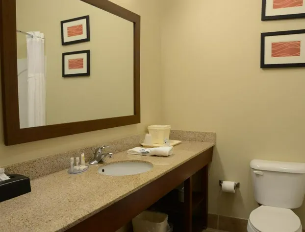 Comfort Inn & Suites Cave City hotel detail image 4