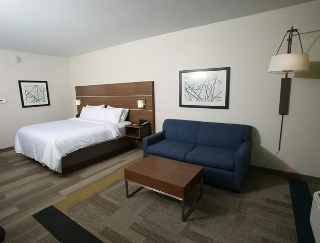 Holiday Inn Express & Suites Lincoln Airport by IHG hotel detail image 3
