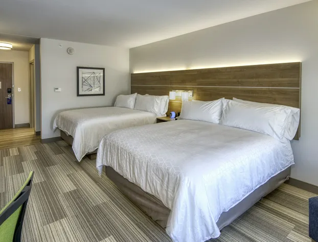 Holiday Inn Express & Suites Lincoln Airport by IHG hotel detail image 4