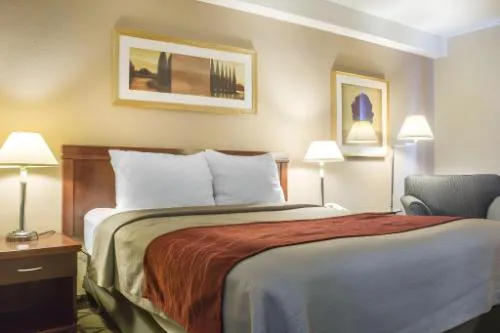 Comfort Inn London - Wellington Road hotel detail image 3