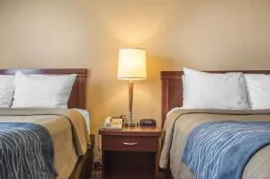 Comfort Inn London - Wellington Road hotel detail image 1