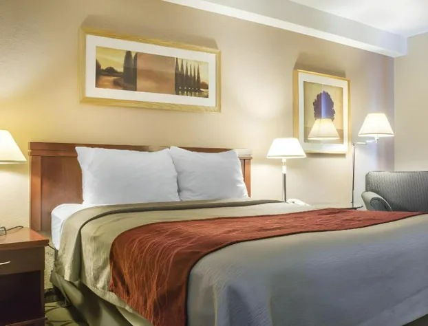 Comfort Inn London - Wellington Road hotel detail image 4