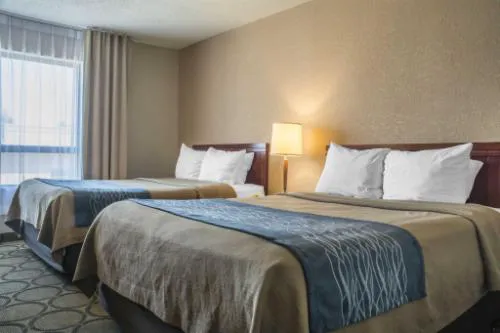 Comfort Inn London - Wellington Road hotel detail image 3