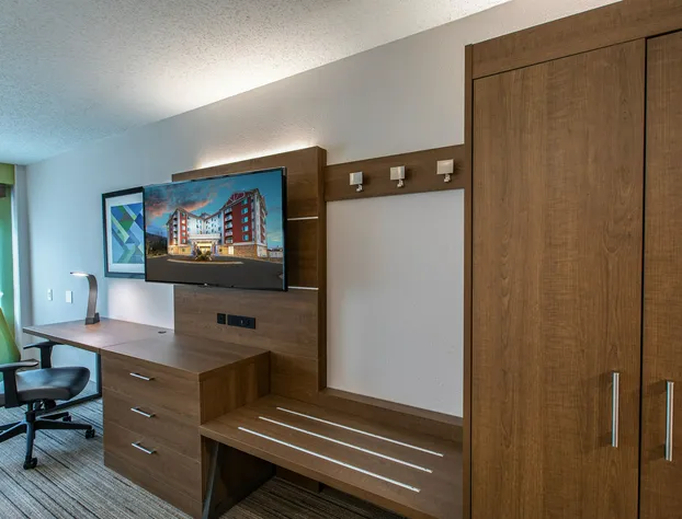 Holiday Inn Express & Suites Asheville Downtown by IHG hotel detail image 4