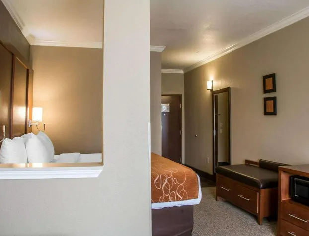 Comfort Suites New Braunfels - San Antonio Area hotel detail image 1