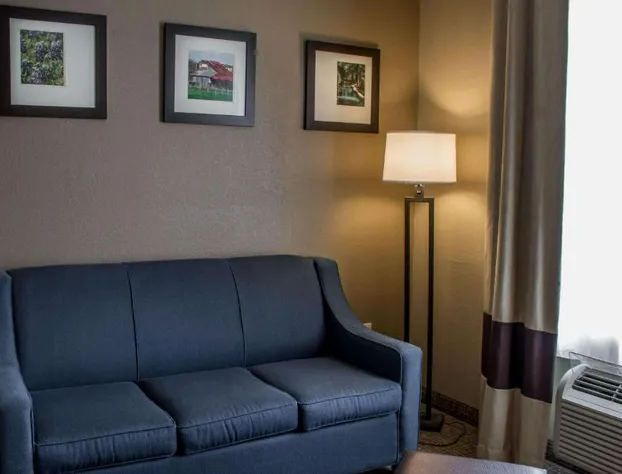 Comfort Suites New Braunfels - San Antonio Area hotel detail image 3