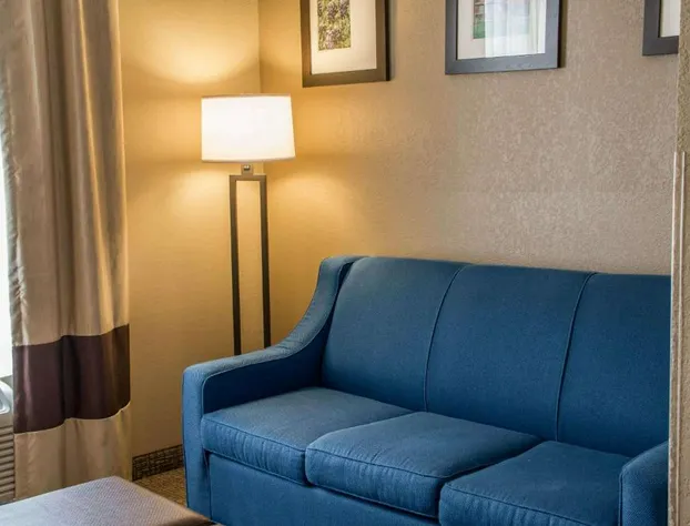 Comfort Suites New Braunfels - San Antonio Area hotel detail image 4