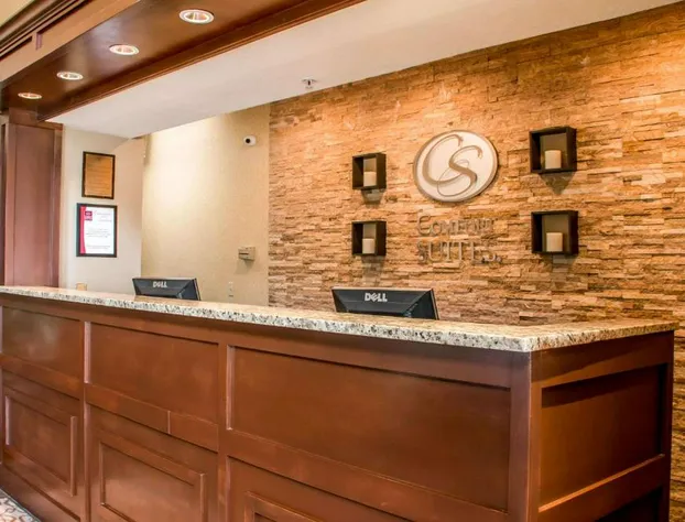 Comfort Suites New Braunfels - San Antonio Area hotel detail image 2