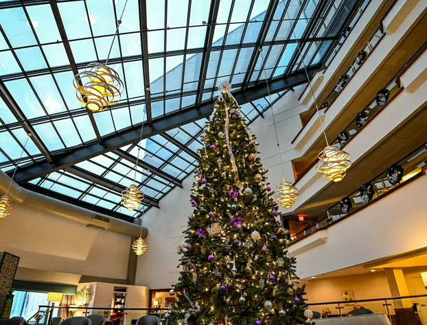 DoubleTree by Hilton Richmond - Midlothian hotel detail image 1