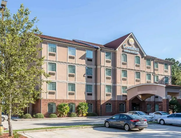 Comfort Inn & Suites Villa Rica hotel detail image 2