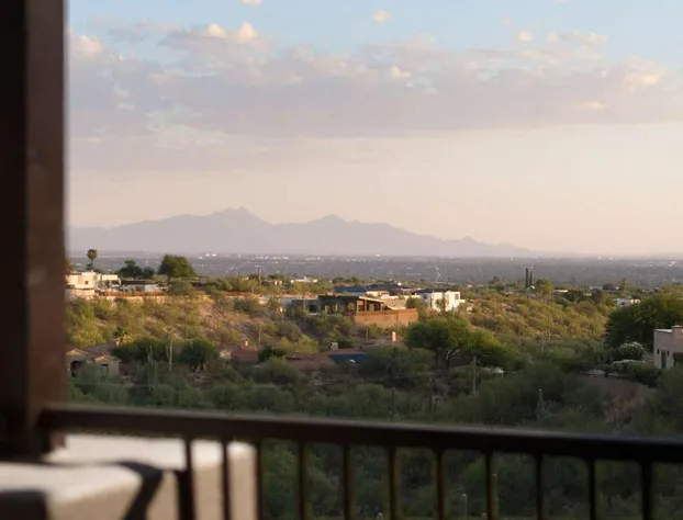 Embassy Suites by Hilton Tucson Paloma Village hotel detail image 2