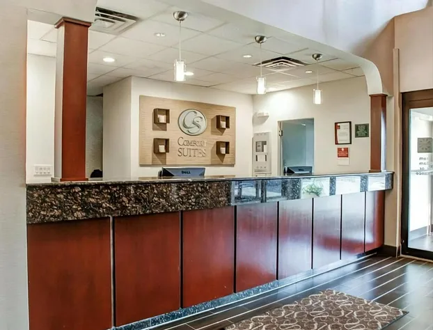 Comfort Suites Lombard - Addison hotel detail image 3