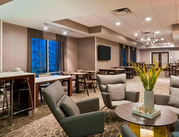 Springhill Suites By Marriott Indianapolis Carmel hotel detail image 3