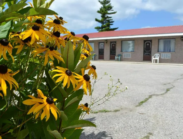 Lighthouse Motel hotel detail image 3