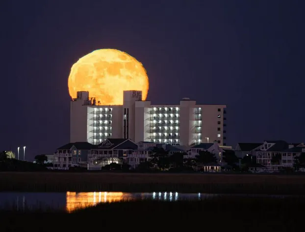Shell Island Resort - All Oceanfront Suites hotel detail image 1