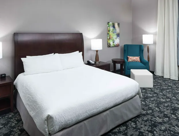 Hilton Garden Inn Detroit/Novi hotel detail image 4