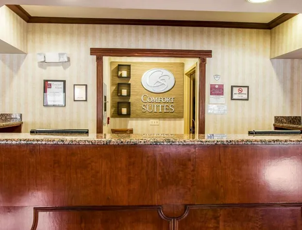 Comfort Suites Canton - Detroit hotel detail image 3