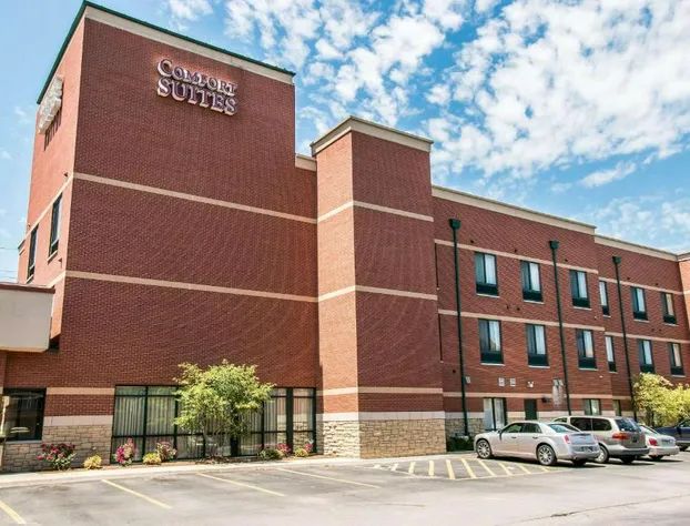 Comfort Suites Canton - Detroit hotel detail image 1