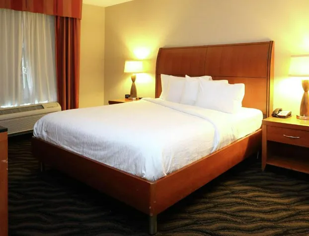 Hilton Garden Inn Chesapeake/Suffolk hotel detail image 4