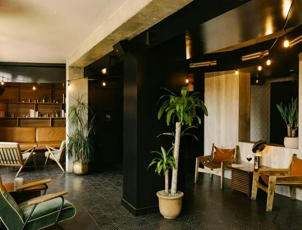 Henri on 24 Hotel Chelsea, Sonder by Marriott Bonvoy hotel detail image 3