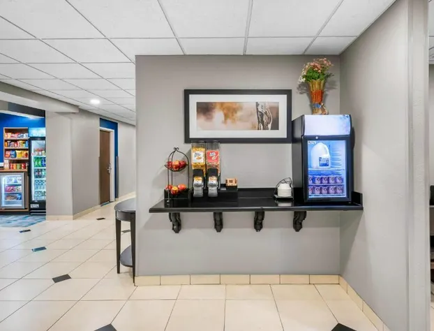 Microtel Inn & Suites by Wyndham Conway hotel detail image 4