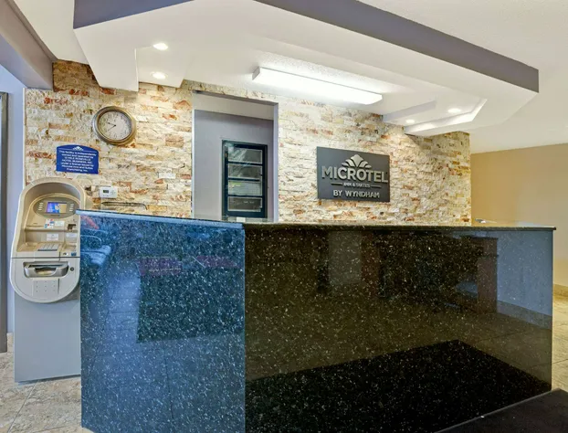 Microtel Inn & Suites by Wyndham Roseville/Detroit Area hotel detail image 1