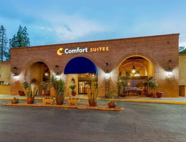 Comfort Suites Tucson near Sabino Canyon hotel detail image 2