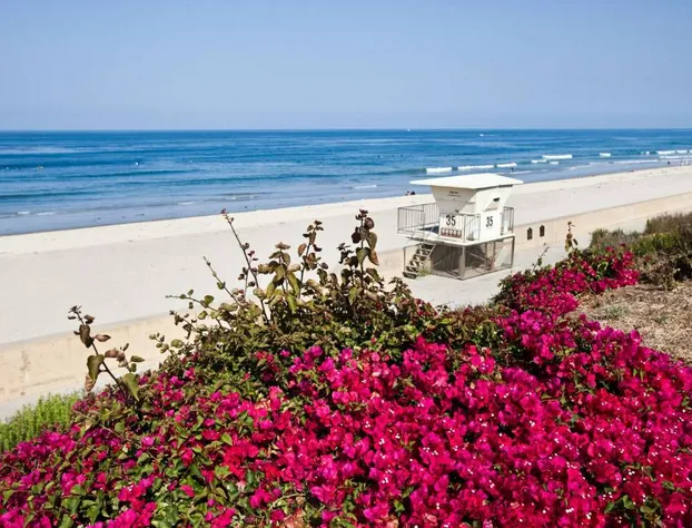 Hotel Solea, Autograph Collection hotel detail image 1