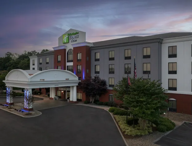 Holiday Inn Express & Suites Knoxville-Clinton by IHG hotel detail image 1