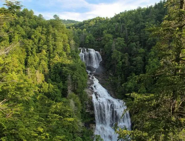 Holiday Inn Express & Suites Knoxville-Clinton by IHG hotel detail image 3