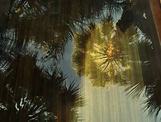 Two Bunch Palms hotel detail image 2