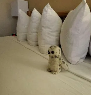 Best Western Sheridan Center hotel detail image 4