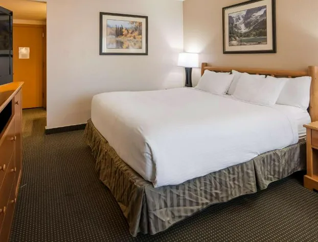 Best Western Sheridan Center hotel detail image 1
