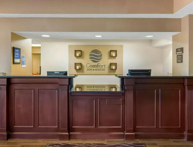 Comfort Inn & Suites LaGrange East hotel detail image 1